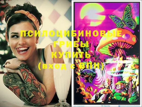 прущие грибы Видное