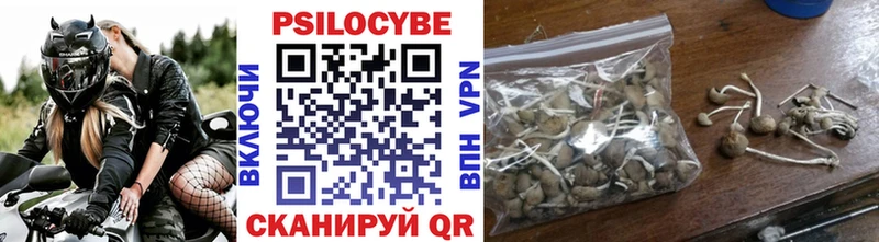 blacksprut ONION  Клинцы  Псилоцибиновые грибы GOLDEN TEACHER 