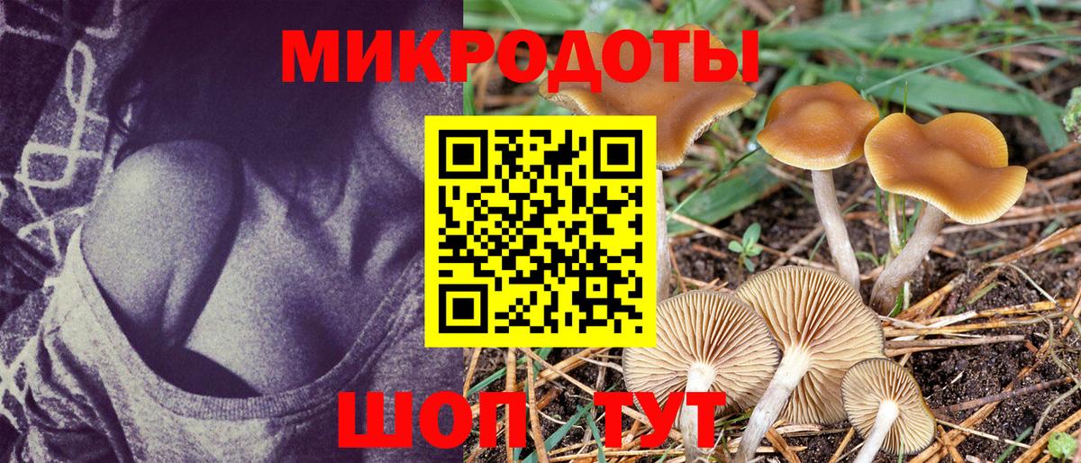 Псилоцибиновые грибы Psilocybe Клинцы