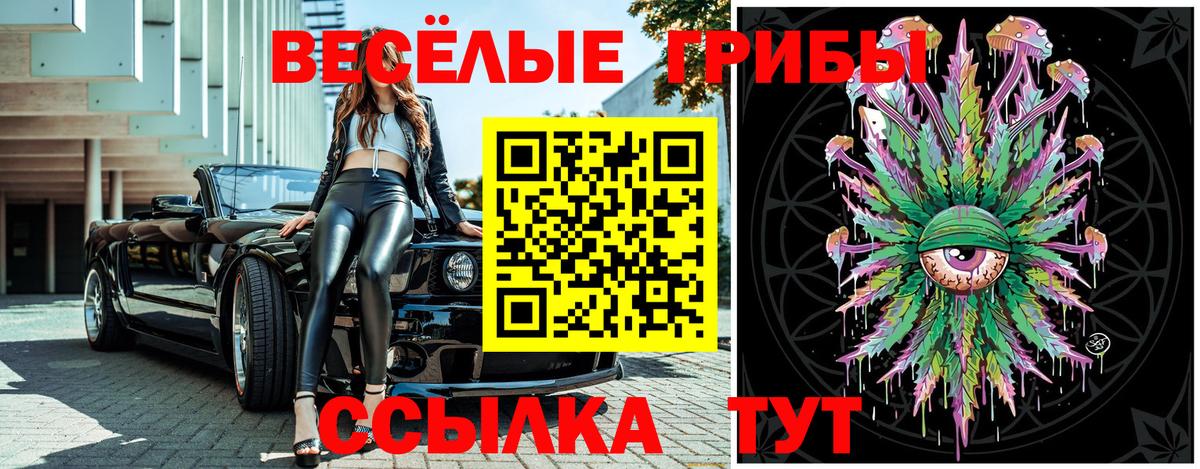 Галлюциногенные грибы ЛСД  Клинцы  Псилоцибиновые грибы прущие грибы 