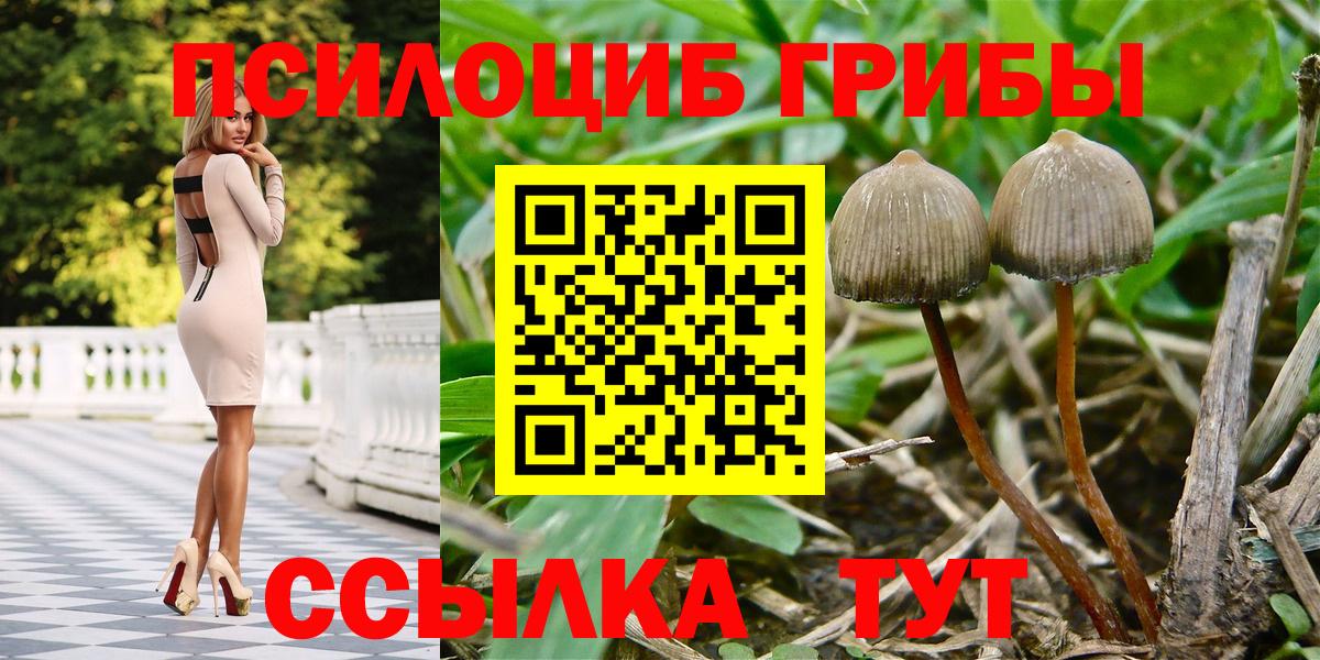 Псилоцибиновые грибы ЛСД  Вход с VPN  Клинцы 