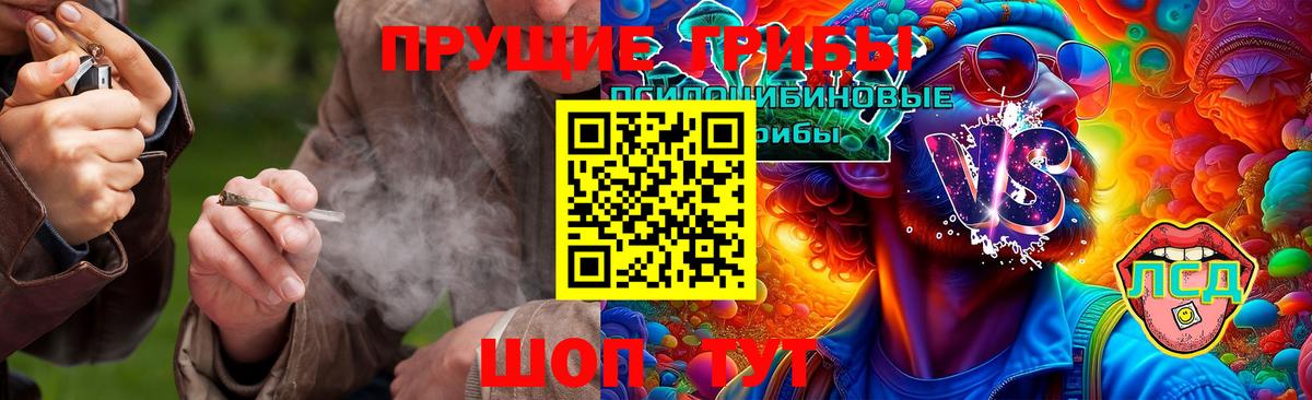 Псилоцибиновые грибы мухоморы Клинцы